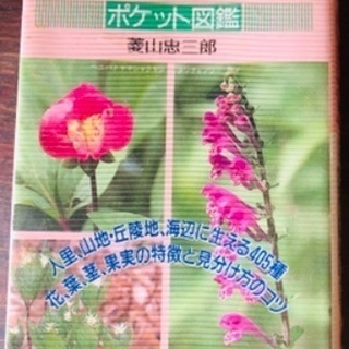 中古野草が無料 格安で買える ジモティー