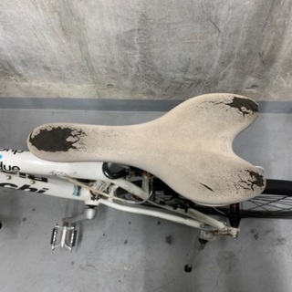 ビアンキ カメレオンテ2