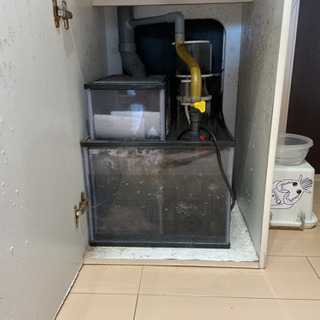 450×450×500ニッソークロス　オーバーフロー水槽　フルセット