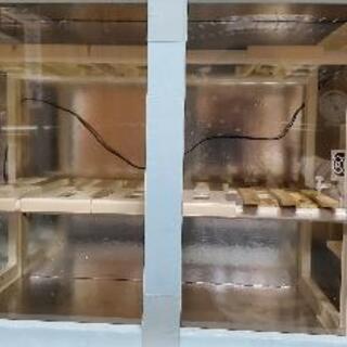 冷やし虫家ライト