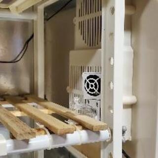 冷やし虫家ライト