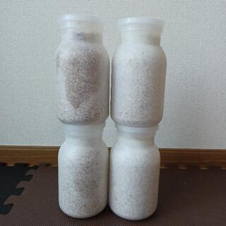 菌糸ボトル850ml(オオヒラタケ×4本、カワラタケ×1本)