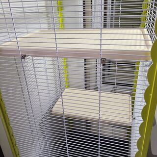 楽天市場】【6%OFFクーポン】モモンガ ケージ 大きい 3階建て
