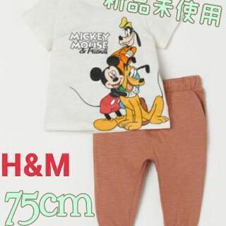 【新品】H&M コットン2アイテムセット