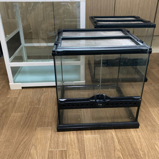 爬虫類用 ケージ