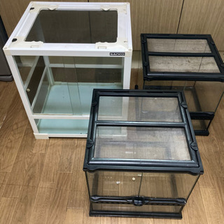 爬虫類用 ケージ