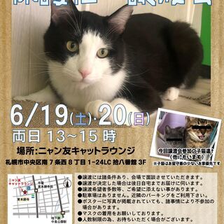 【札幌】保護猫の譲渡会（6/19-20）