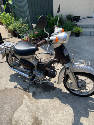 リトルカブ  買いませんか？