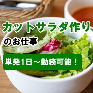 【短期1日〜OK！】大洲市春賀で野菜のカット、洗浄、選別などの下...