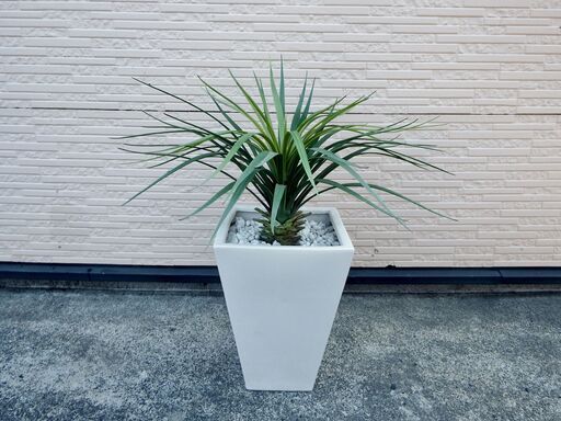 ドラセナ 観葉植物 人工 陶器鉢 インテリア