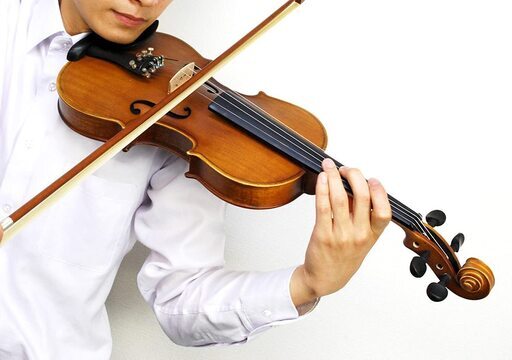 新品バイオリン　Hallstatt Violin V-12