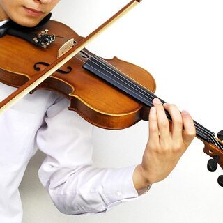 新品バイオリン　Hallstatt Violin V-12