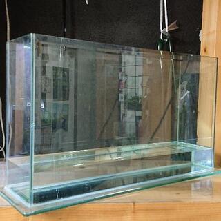 60センチスリム水槽(アクアシステム製オールガラス水槽✨金魚メダ...