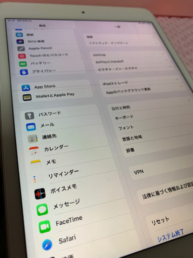 iPad mini5 ジャンク(タッチ可、画面点滅あり) | www.csi.matera.it