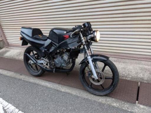 NS1 ネイキッド 後期 NS-1 後期 ネイキッド