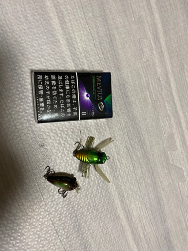 追加画像