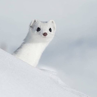 草抜き、手伝います😊