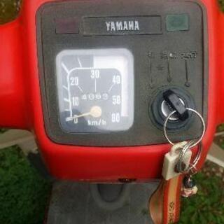 パッソーラエレクトリック実働車