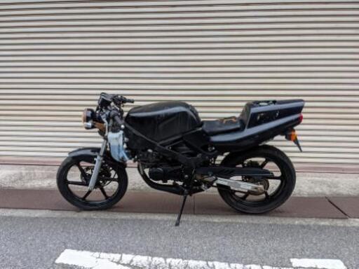 ゆなNS1用？耐久カウル 引き取り限定 不明 耐久カウル のパーツレビュー | NS-1(manZo.Racing.27