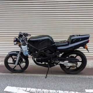 NS-1 後期 ネイキッド