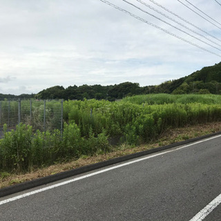 千葉県いすみ市岬町岩熊 330平米 古沢小学校目の前 山林地