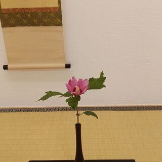 箕面 天月庵茶道教室 - 教室・スクール