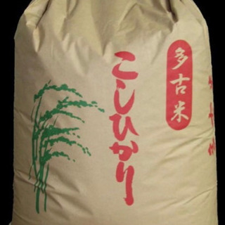 令和2年度産 多古米30kg 玄米