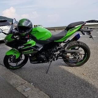 【ネット決済】Ninja250krt　2018年式　詳細