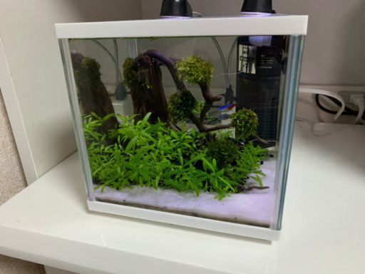 水槽セット