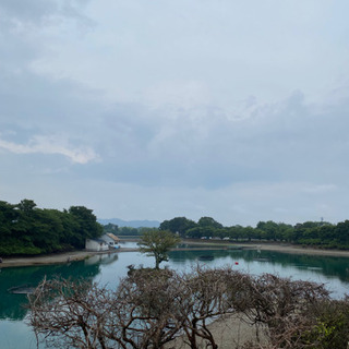 釣り友募集