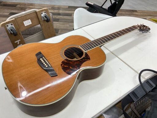 James エレアコギター J-500ANAT