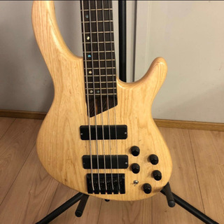 5弦アクティブベース