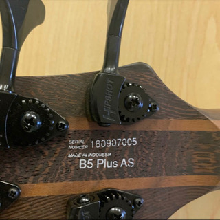 5弦アクティブベース　塗装品 5弦アクティブベース 塗装品 Bacchus IKEBE ORIGINAL 5弦アクティブベース