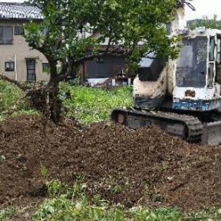 植木、樹木の植え替え/お引っ越しいたします❗️