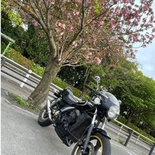 エリミネーター　250SE