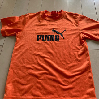 プーマ　PUMA tシャツ 