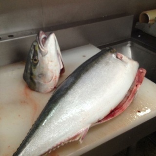 釣った魚捌きます♪10キロのブリでもokの画像