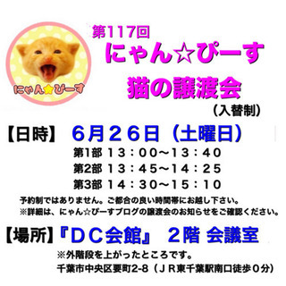 6月26日(土)🌸にゃん☆ぴーす猫の譲渡会🌸「DC会館」JR東千...