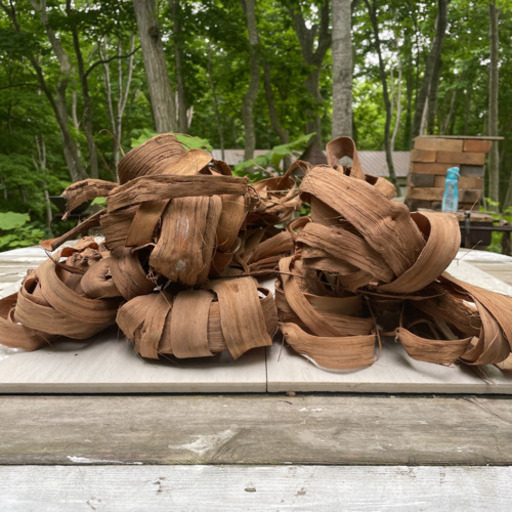 山葡萄の蔓 北海道産 約3キロ