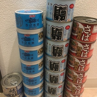 【ネット決済】鯖缶　22缶　セット