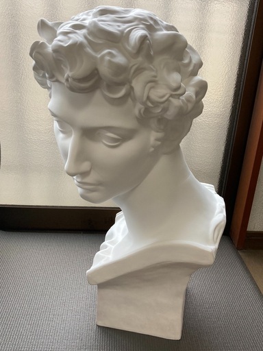 【石膏像】 ジュリアーノ・メジチ胸像