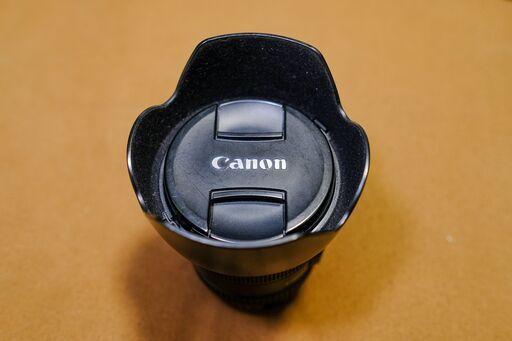 Canon（キャノン）EF24-105mm F4L IS USM ジャンク | rodeosemillas.com