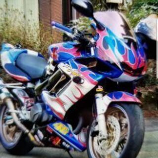 奇跡の走行距離vtr1000f逆車
