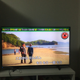 6/25まで フナイ funai 43v 3020 4k テレビ ヤマダの7年保証
