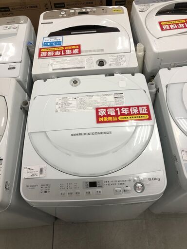 1年間動作保証付　SHARP　全自動洗濯機　6.0ｋｇ　2018年製【トレファク南柏店】