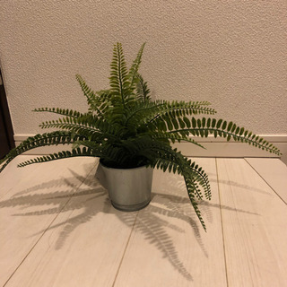 人工観葉植物　IKEA