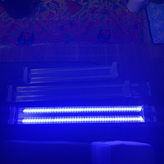 ゼンスイLED 2LINE 廃盤品レア　3台セット