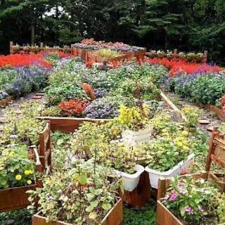 花壇づくりにおけるボランティア募集(岩手県北上市)