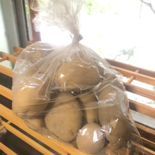 美味しい❣️不揃い特価✨有機栽培のジャガイモ