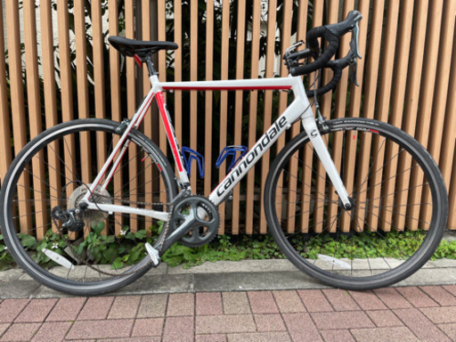 キャノンデール　サイズ60